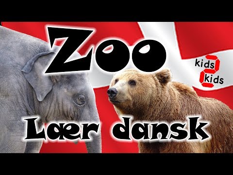 Lær dyrenes navne på dansk i zoo med kids 2 kids  Learn animal names in danish