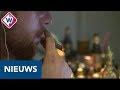 Gemeente Westland beslist dinsdag over deelname wietexperiment - OMROEP WEST