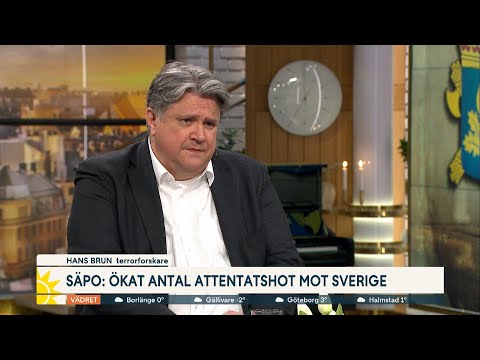 Terrorforskaren: “Man ska inte vara rädd – men vaksam” | Nyhetsmorgon | TV4 & TV4 Play