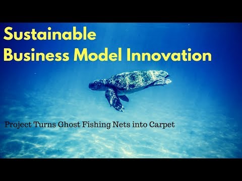 Business Model Canvas Example, Interface Case study on Sustainable Business Model Innovation Video