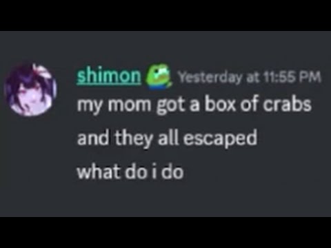 Shimon vs. A Box Of Crabs