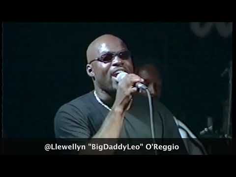 Richie Stephens, Gentleman, Zebra, Copper Cat,  at "Riding West" Montego Bay, Jamaica.