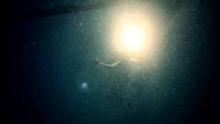 Frank Lenz 'Complex Miles & His Undersea Adventure'