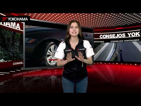 CONSEJOS YOKOHAMA | Avid Ascend GT