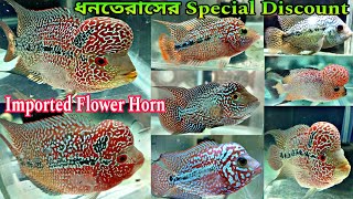 Aquarium Fish Price Flower Horn | Aquarium Fish Shop Belgharia | Flower Horn Fish | Aquarium Fish 