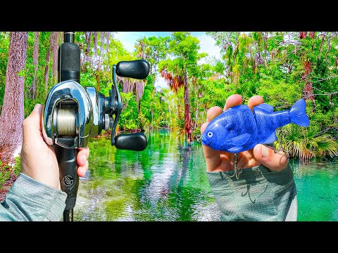 I Found An UNTOUCHED Clear Water LAGOON - It Was LOADED 