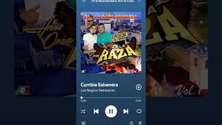 CUMBIA SABANERA - LOS NEGROS SABANEROS #sonideros #musica #regionalmx #cumbia #cumbias