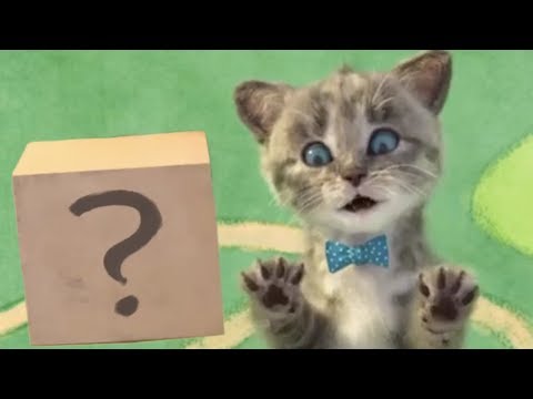 Gatos Y Amigos - Gatito Preescolar Aventuras Dibujos Animados Infantiles | Vídeos Graciosos