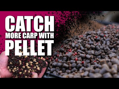 Catch MORE Carp with These Top Pellet Tips!