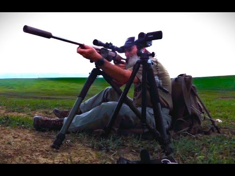 Prairie Dogs with the 223 Improved.