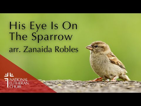 His Eye is On The Sparrow