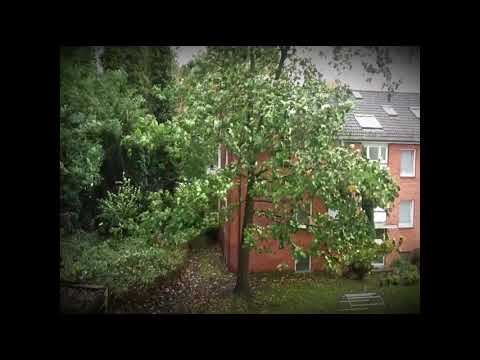 Ein Gleichniss: Seid fest verwurzelt in der Liebe und im Glauben