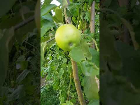 The World's Best Climate, Fall 2019 in Europe