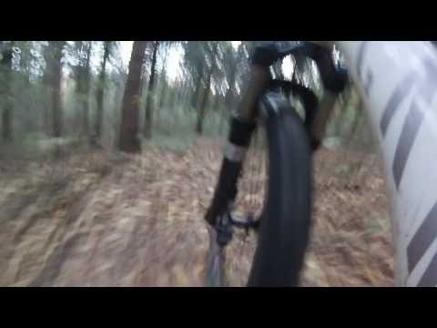 GoPro-Test Sparkassenwald Stainz