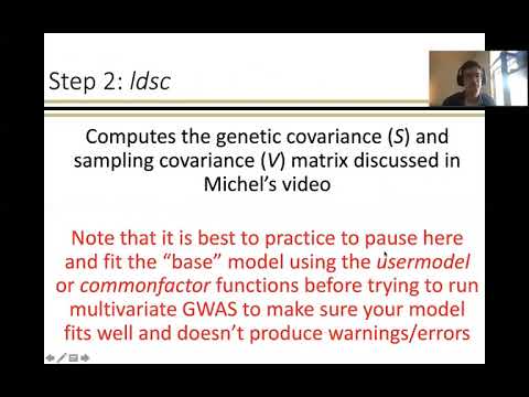 The Genomic SEM wiki - walkthrough - Part 2