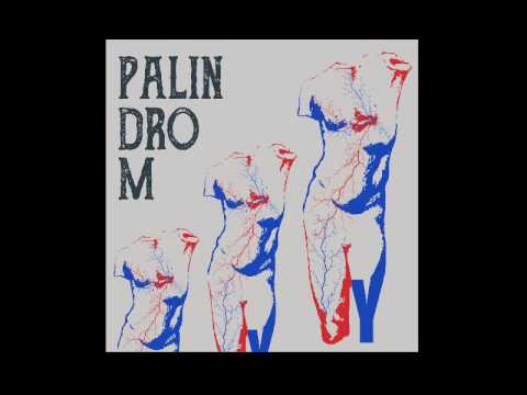 Palindrom - Desert Y [2017]