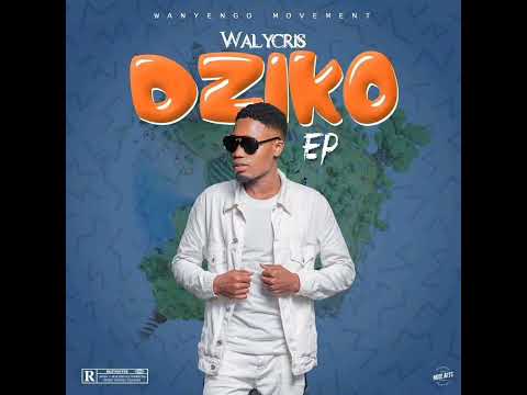 WalyCris - 'Mbali Yanga' ft Trust Kachimera (Prod by Juxy & DM makes Beats) Official Audio