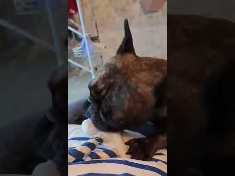 hala lagot nasira na 😆