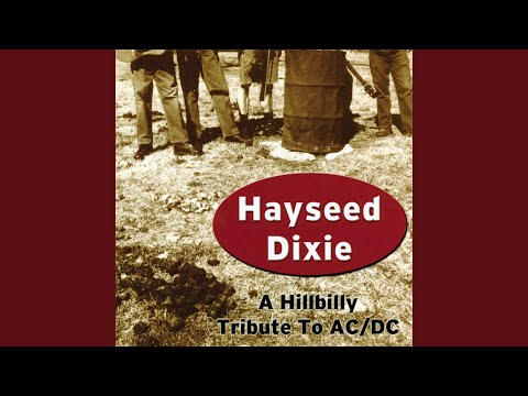 You Shook Me All Night Long - Hayseed Dixie