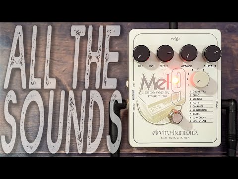 ELECTRO HARMONIX Mel9 // Tape Replay Machine | ALL THE SOUNDS [NO TALK / ONLY TONES]