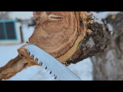 Pruning Large Branches (The Three Cut Method)