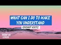 WHAT CAN I DO TO MAKE YOU UNDERSTAND COCONUT ROOTZ OFFICIAL VIDEO LYRICS TRENT MC
