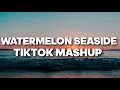 Watermelon sugar / Seaside SEB (Tiktok Mashup) "Hi baby do you wanna be mine"