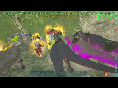 NG vs NaCl x PDM and SOA Double bear pvp