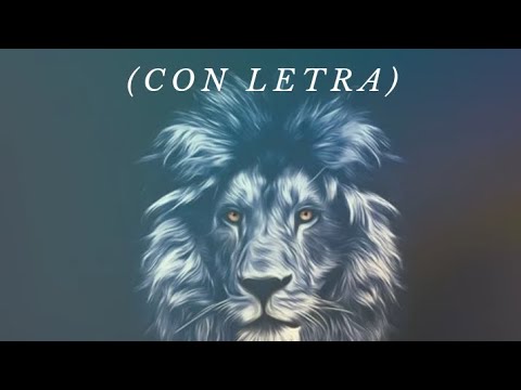 Hay una orden- Shaked- Letra