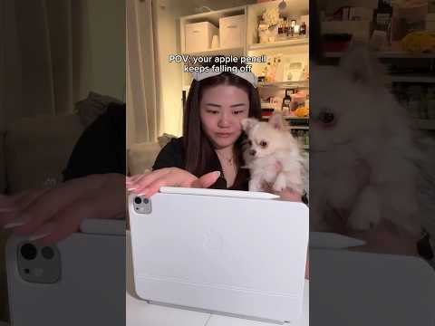 Best apple pencil pro accessory ✍🏻