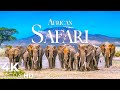 African Safari 4K Wildlife Relaxation Film Nature 4K Ultra HD