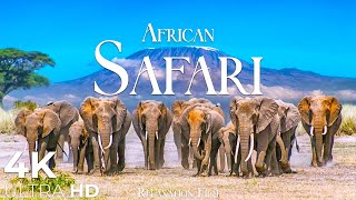African Safari 4K • Wildlife Relaxation Film wit