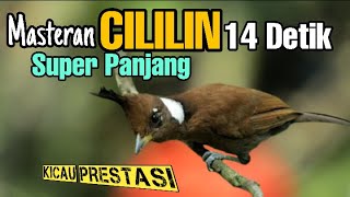 Download lagu Cililin Gacor Super Panjang Jernih Buat Masteran MURAI BATU,KACER,CUCAK IJO,PENTET mp3 Download lagu Cililin Gacor Super Panjang Jernih Buat Masteran MURAI BATU,KACER,CUCAK IJO,PENTET mp3