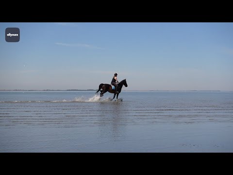 Rustige stranden op Tholen, Zeeland | allyourz