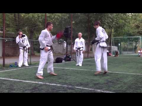 Master Vasilis Alexandris - kicking pad work class