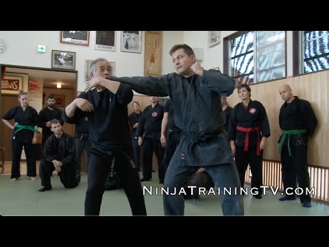 Budo Taijutsu of Noguchi Sensei at Hombu Dojo 3