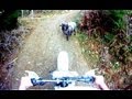 Angry ram attacks motorcyclist - ORIGINAL VIDEO HD ...