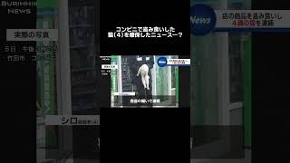 #ニュース#放送事故#壺浅アナ#福井アナ#猫#緊急