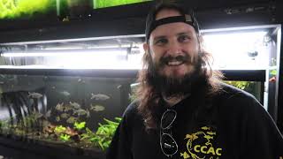 No Filter Aquariums?