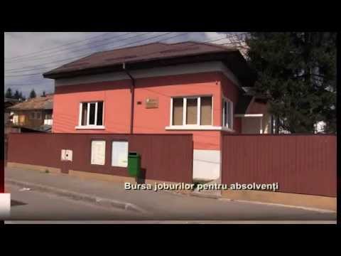 Bursa joburilor pentru absolventi