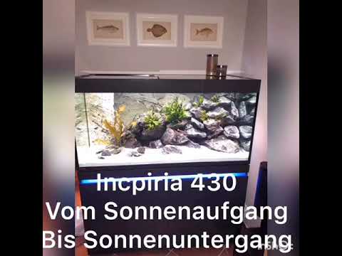 Watch Video on YouTube