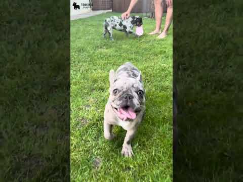 Video 3