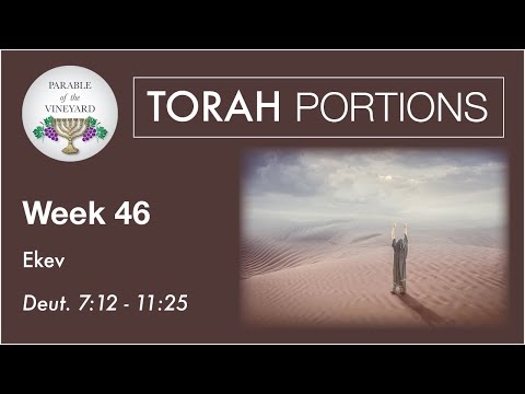 Torah Portions - Week 46 - Ekev - Deuteronomy 7:12 - 11:25  (2020-2021)