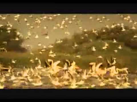 hotel MonJardin cazare in Delta Dunarii