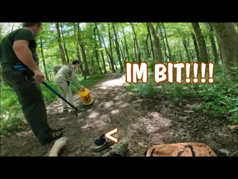 Bit by a VENOMOUS SNAKE!!! (Caught on camera!)