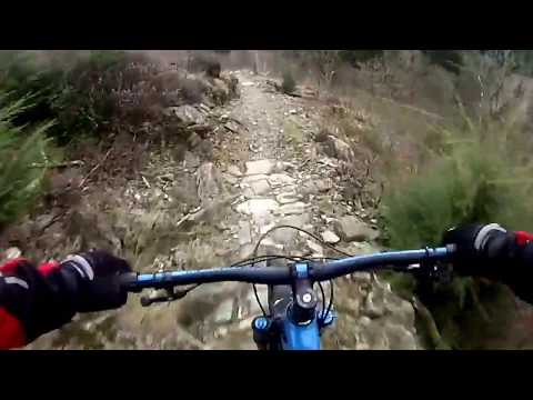 Abel - MBR/ The Beast trails - Coed Y Brenin