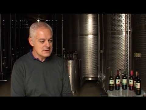 VINO KALEM   emisiija 001