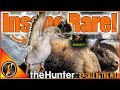 I Got An INSANE RARE Hunting Askiy Ridge With ScarecrowTheHunter