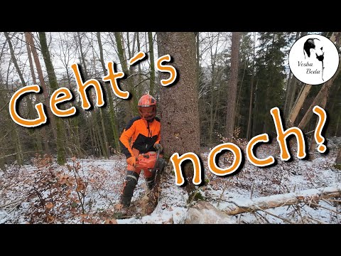 Brennholz - Perfekte Bedingungen