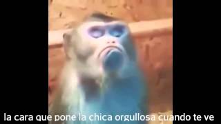 Que se te quite ese orgullo mujer que tienes antonio aguilar